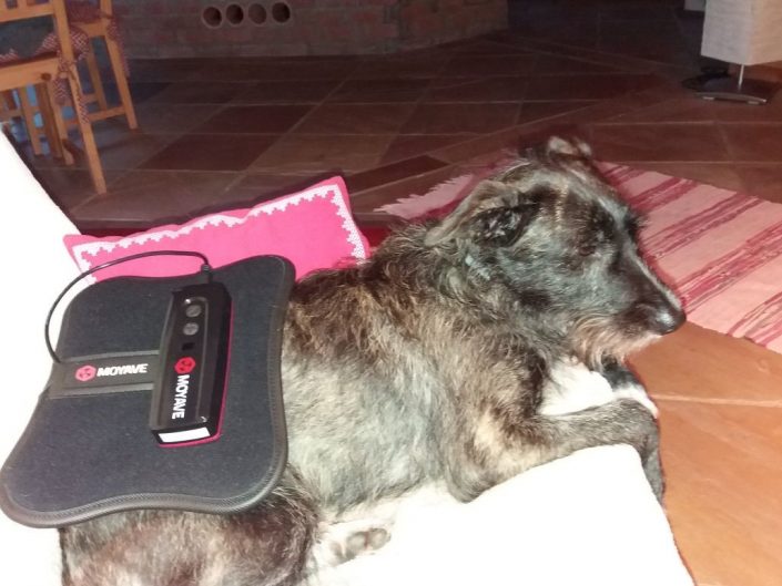 bild3