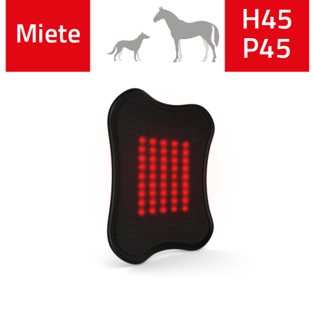H45 / P45-Miete